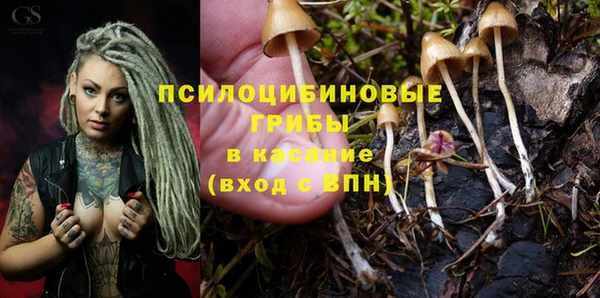 тгк Аркадак