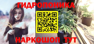 молекула духа Заводоуковск