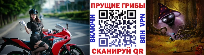 Псилоцибиновые грибы Psilocybine cubensis  Мурманск 