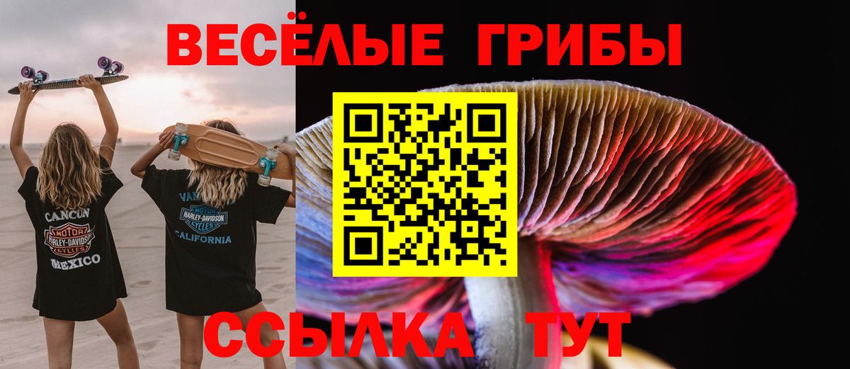 Галлюциногенные грибы ЛСД Мурманск